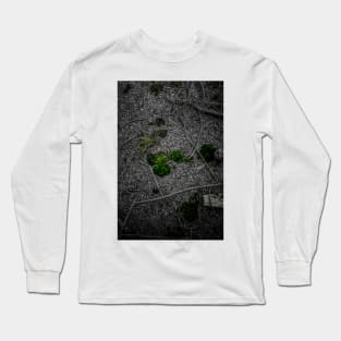 Forest Floor Colour Pop Long Sleeve T-Shirt